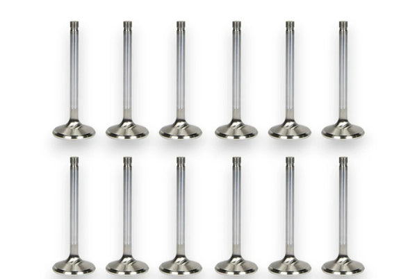 BMW E30 E34 E21 M20 M20B25 2.5 12V Compatible 12X New Upgraded Intake Exhaust Valves