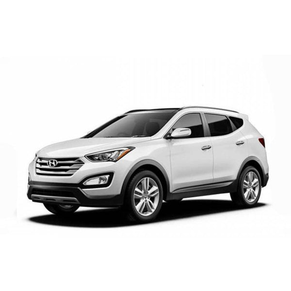 Fit For Hyundai Santa Fe Carpet Trunk Mat 2013 - Up