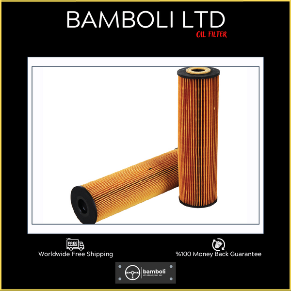 Bamboli Oil Filter For Mercedes W129 - 140 120 Engine 1201800009