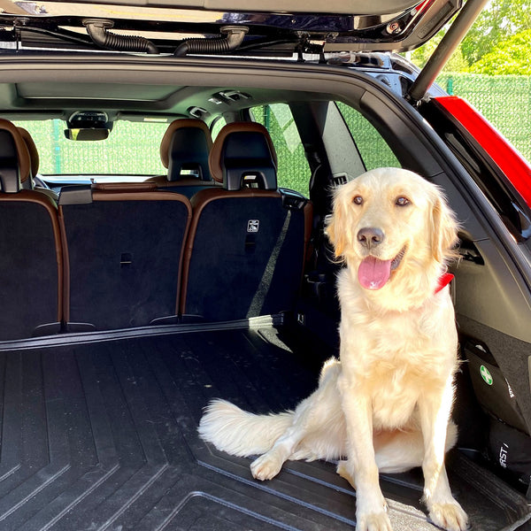 Vehicle Specific Rubber Trunk Mat Cargo Liner for Ds 9 2021 - Up