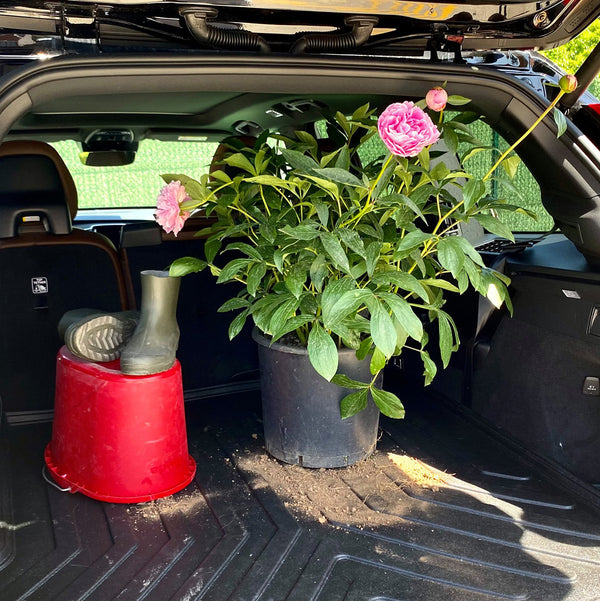 Vehicle Specific Rubber Trunk Mat Cargo Liner for Nissan Juke 2020 - Up