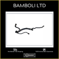 Bamboli Radiator Top Hose For Bmw E53 17127526856